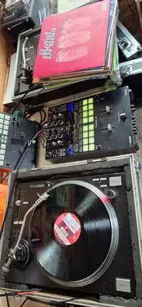 The Horny Crew – Shake Tha Booty (Vinilo usado VG+) - Imagen 1