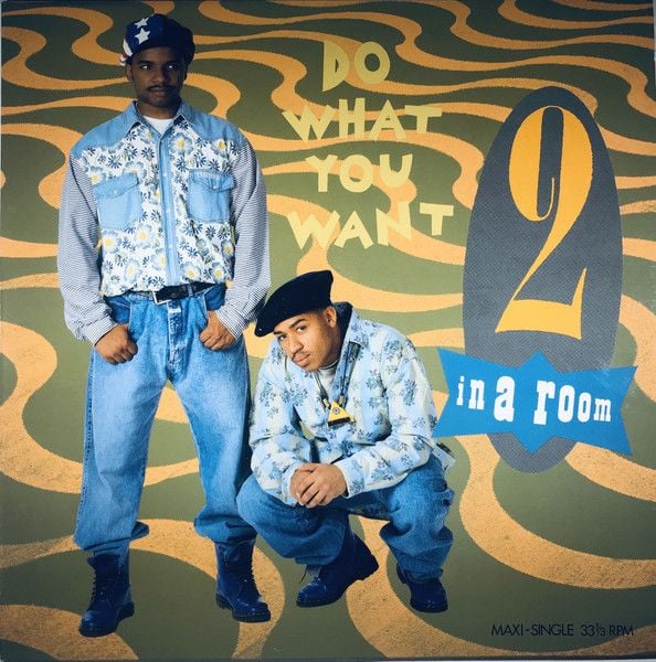 2 In A Room – Do What You Want (Vinilo usado VG+) - Variante en LEMM DJ Store