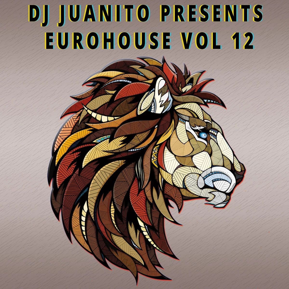 Dj Juanito Presents Euro House Vol 12 (Vinilo Nuevo) (formato europeo sin sellado plastico) - Variante en LEMM DJ Store