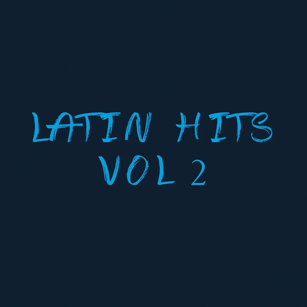 Latin Hits Vol. 2 – Vinilo Nuevo LP Latin Dance & House 90s - Variante en LEMM DJ Store